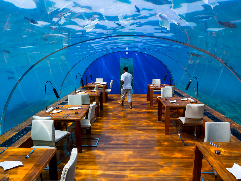 Indulge in Luxurious Ithaa Underwater Restaurant in Maldives | The