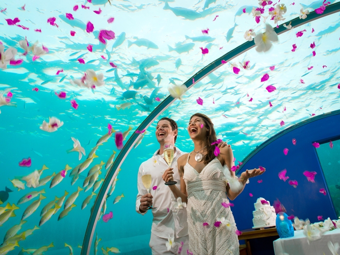 Indulge in Luxurious Ithaa Underwater Restaurant in Maldives | The