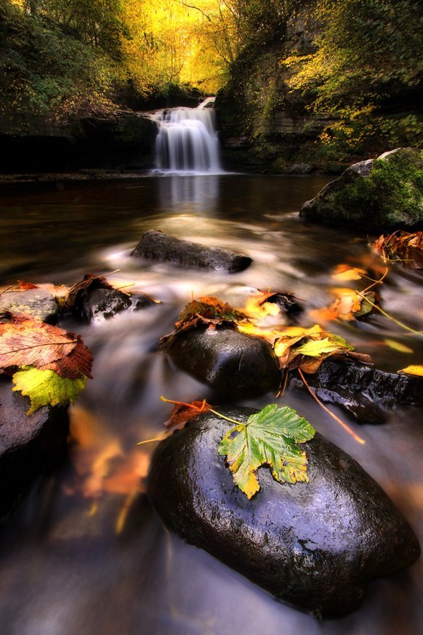 Linn Waterfall, Northumberland, England1