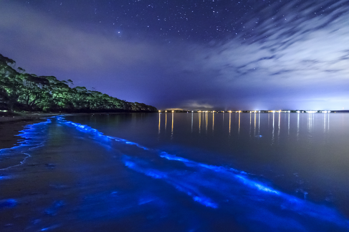 The Glowing Bioluminescent Mosquito Bay in Puerto Rico | The ...