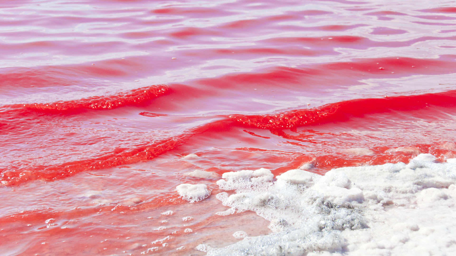 Lake Hillier, the Stunning Pink Lake in Western Australia | The ...